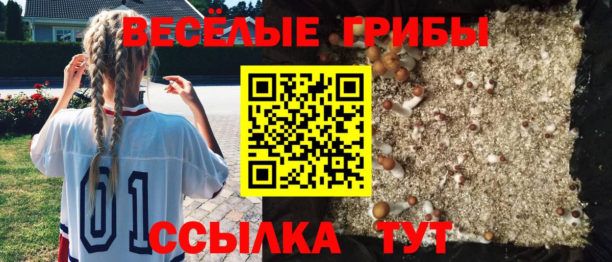 Троицк  Галлюциногенные грибы Psilocybe  Вход с VPN  Галлюциногенные грибы Cubensis 